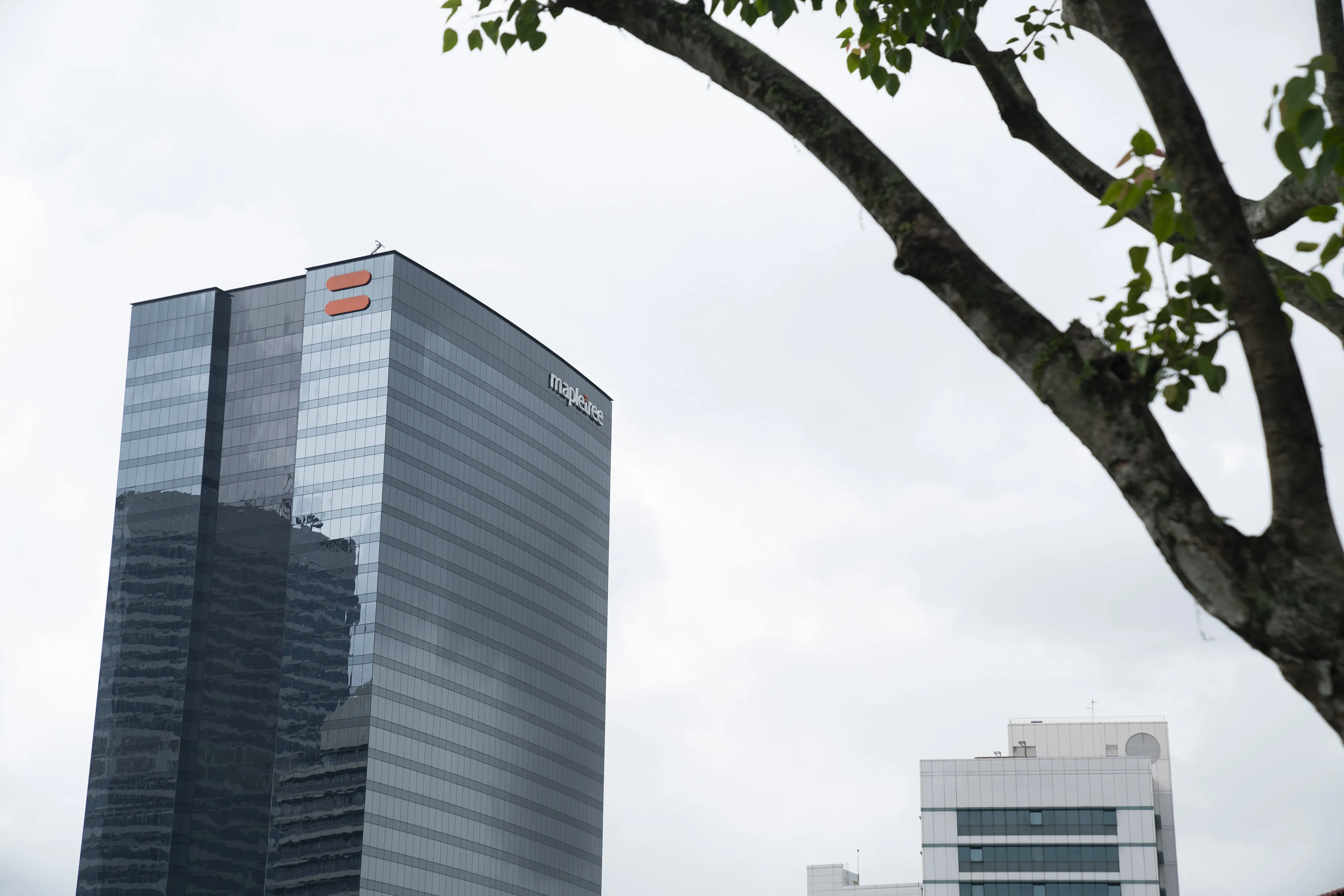 Revenue edged down to S$2.8 billion.
