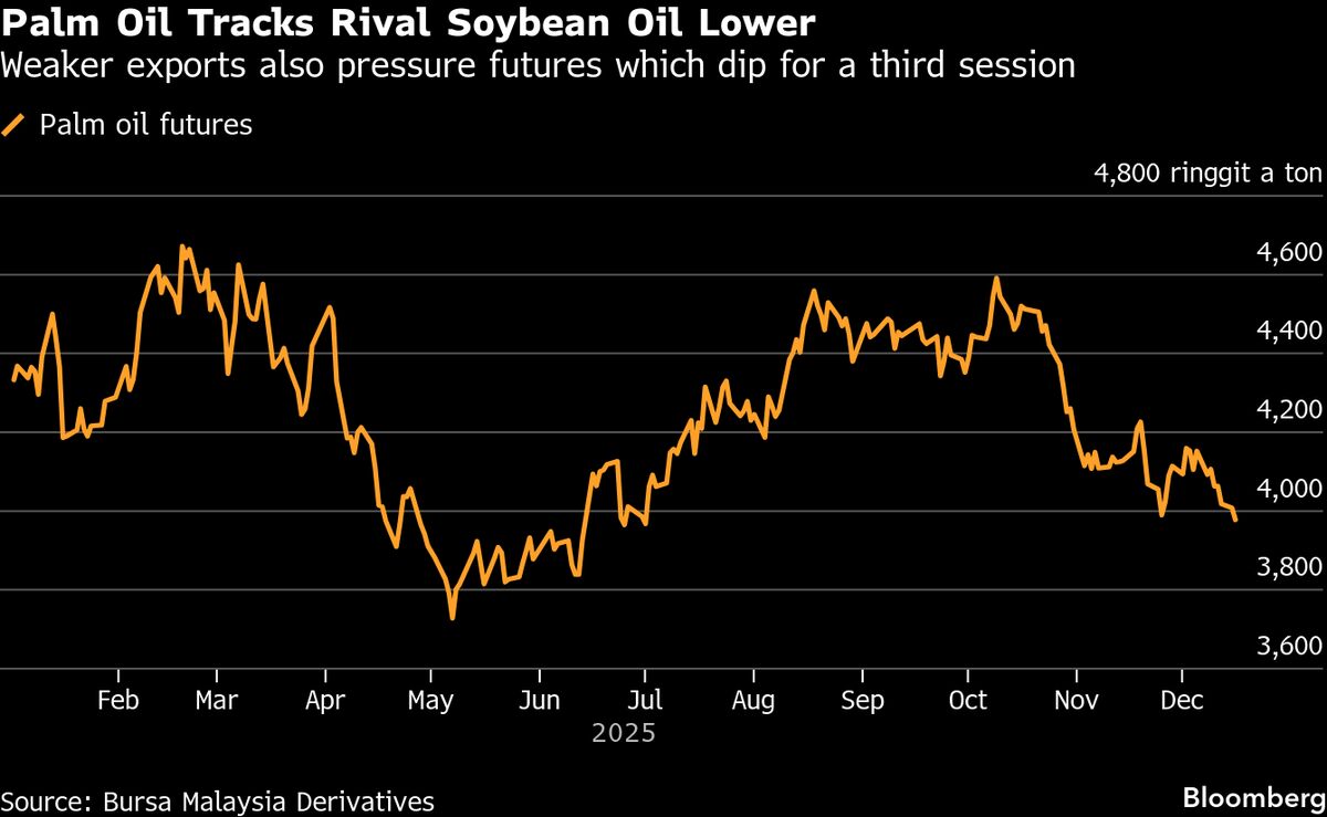 Palm Falls Below 4,000 Ringgit for First Time in Three Weeks