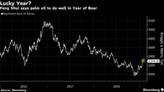 Seeking Tips for Year of the Pig? Feng Shui Says Bet on Palm