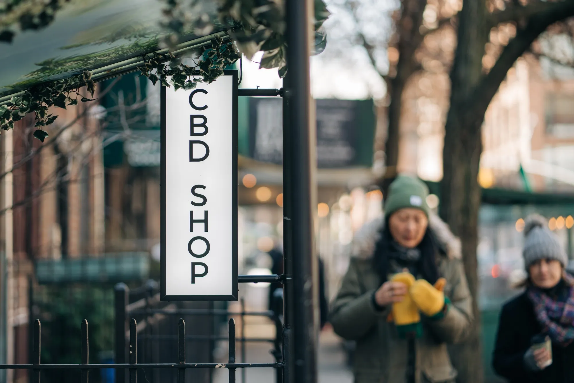 The Come Back Daily store in Manhattan.&nbsp;Steven Phan and his partner opened the shop in hopes of upping their chances of winning a license for a retail pot shop.&nbsp;