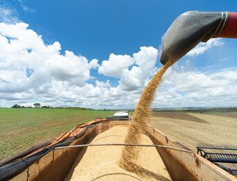 relates to Surprise Tax Change Upends Trading in Crop Powerhouse Brazil