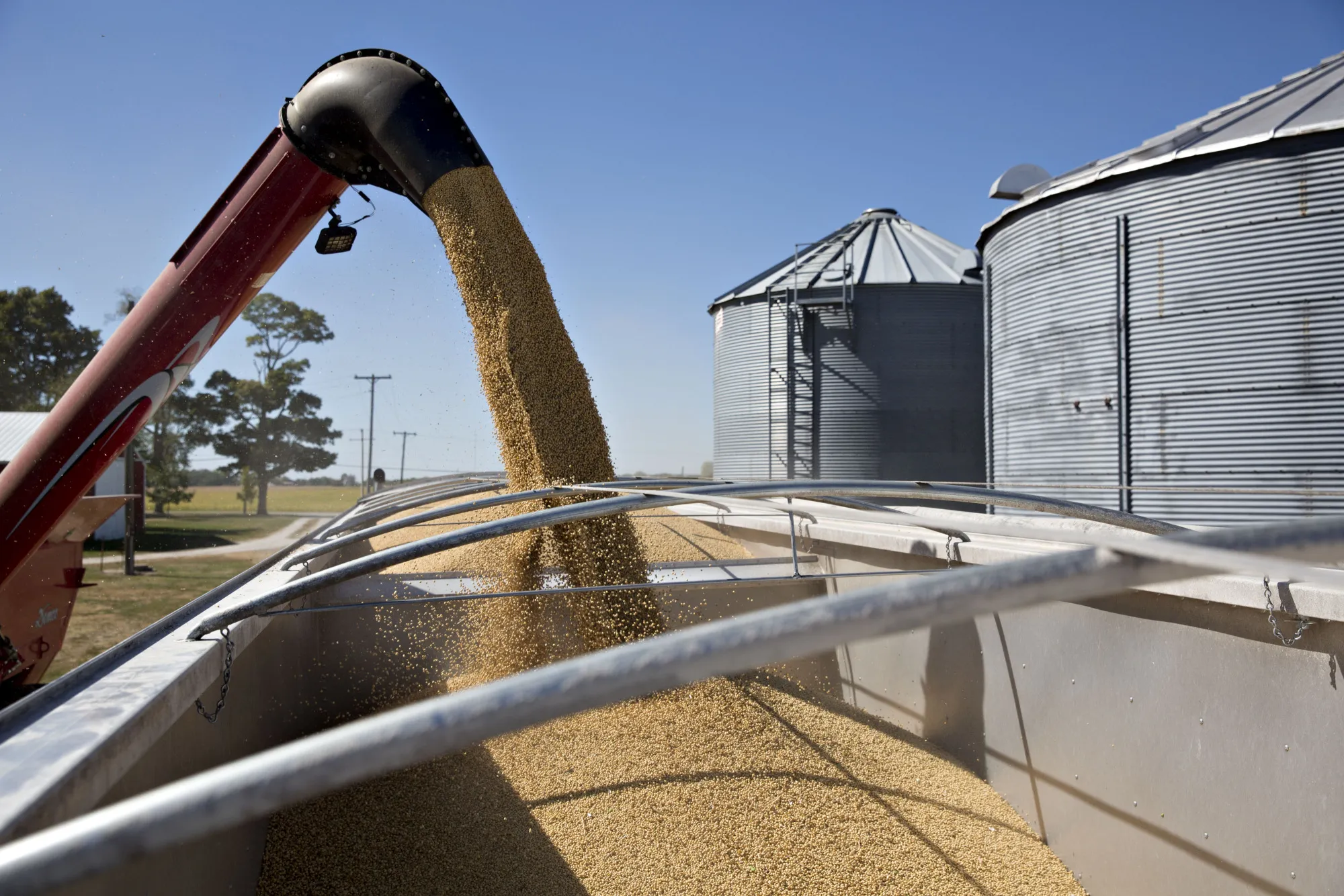 Soybeans are loaded into a truck during harvest in Princeton, Illinois, U.S.