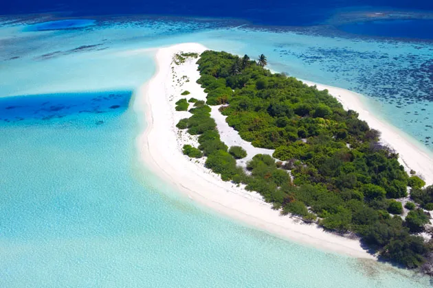 A French Entrepreneur Tries Telecommuting From a Desert Island, Robinson Crusoe-Style