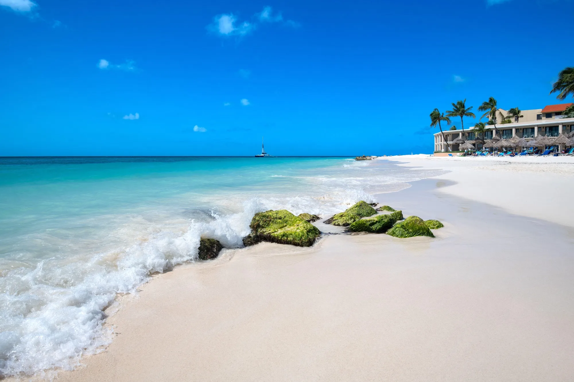 Divi Beach in Aruba, just 20 miles from Venezuela.