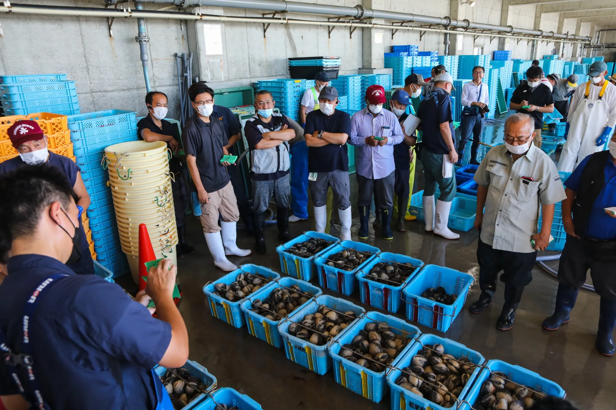 Buyers gather for an auction at Numanouchi fish port in Iwaki, Fukushima Prefecture, on Aug. 24.