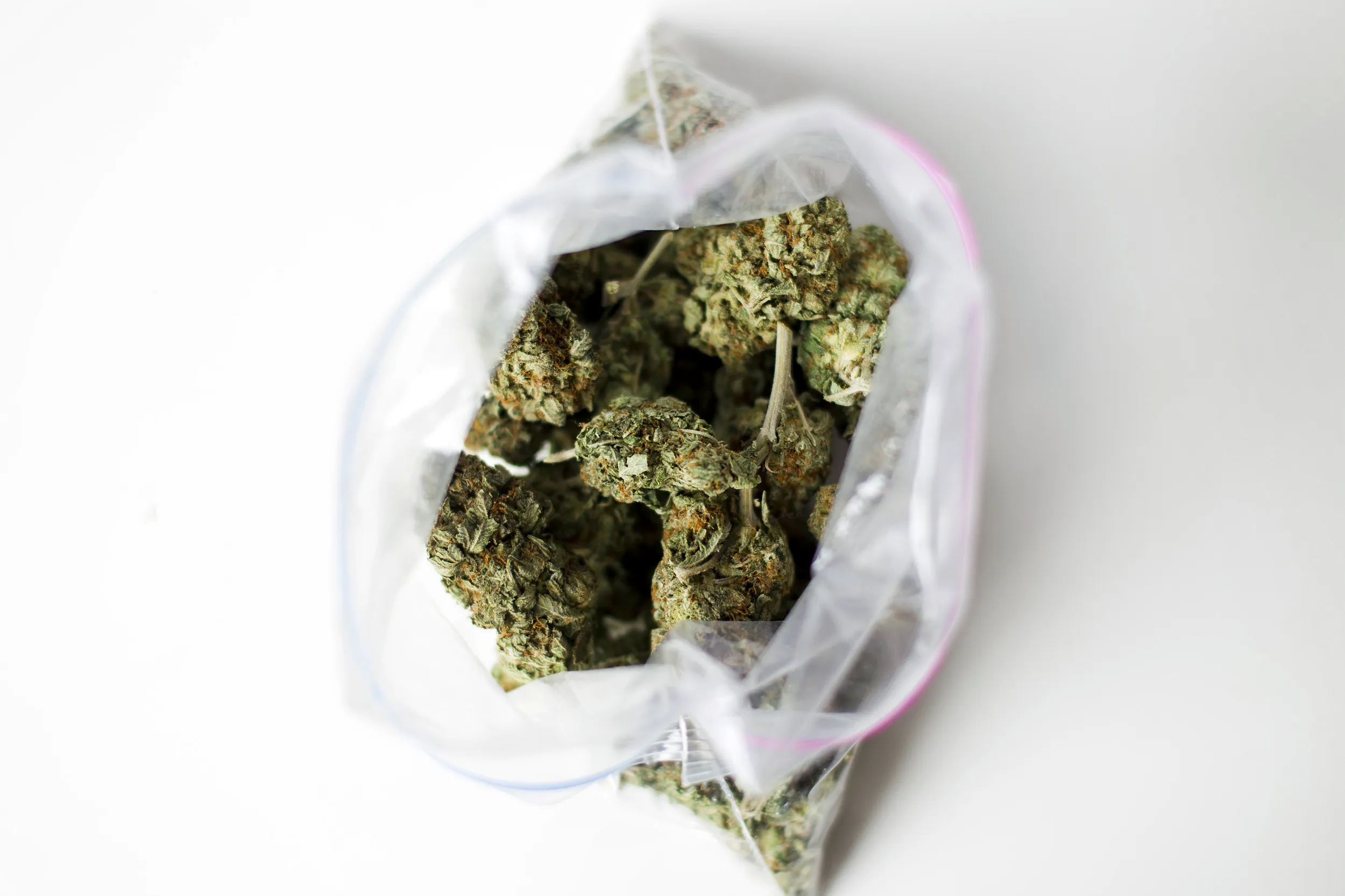 Marijuana Buds