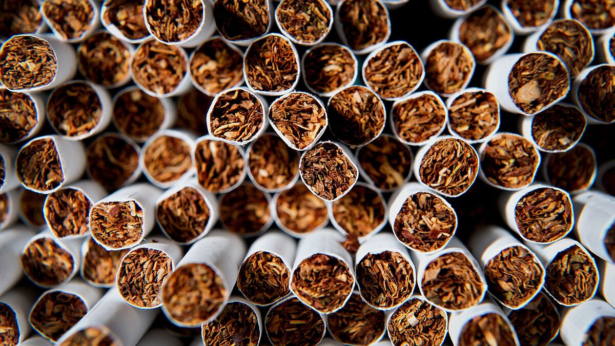 cigarettes in tenerife prices duty free Cartons of Cigarettes in Duty-Free Shop Airport Tenerife Sur Canary Islands  Spain Stock Photo