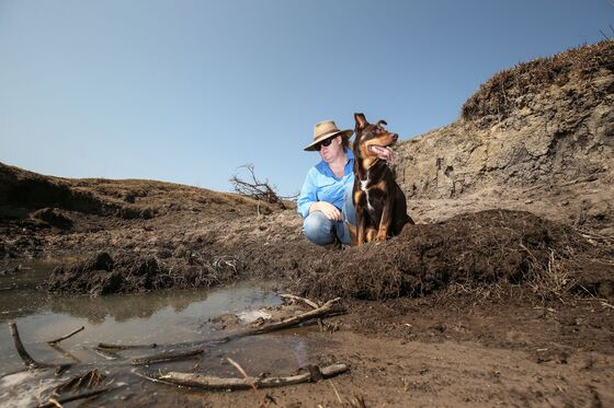 In a Country So Dry Even Cows Take Showers, Climate Change Gets Ignored