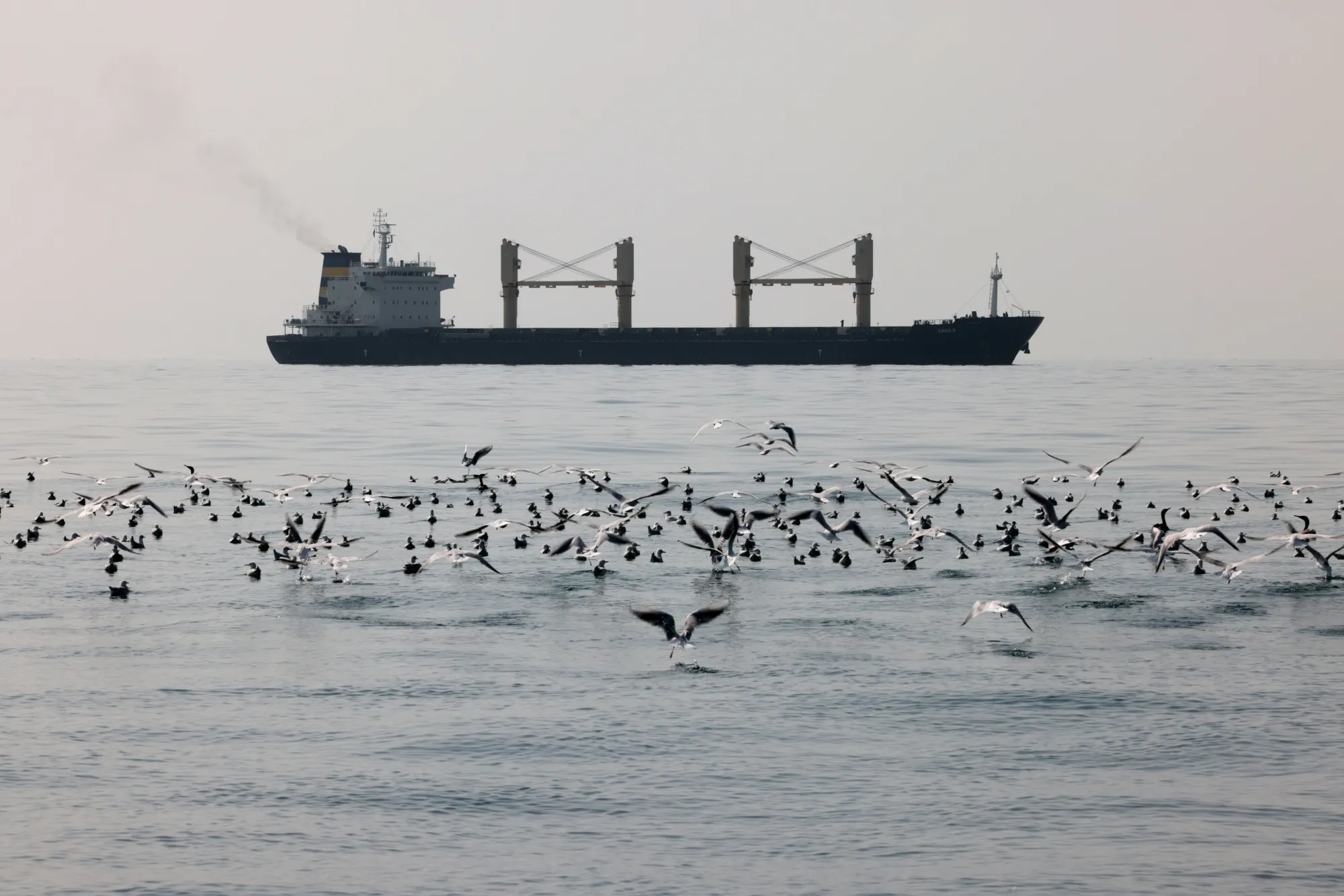 The Eswatini flag is now on a list that restricts calls to UAE ports and waters.
