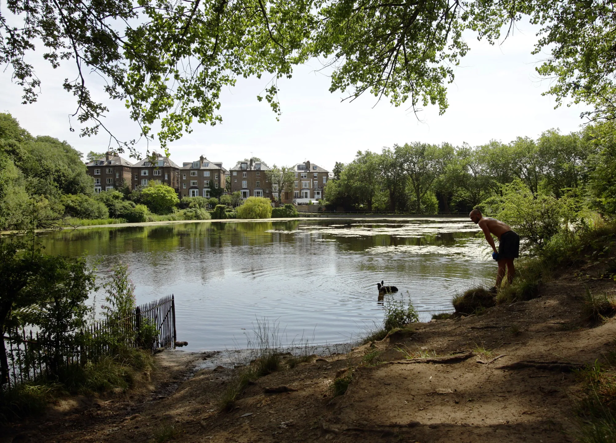 The ponds at London’s Hampstead Heath.