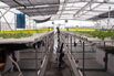 Singapore Prepares For a Far Hotter World Than the Paris Target