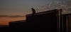 A man sits on a section of a U.S.-Mexico border wall in Tijuana, Mexico.