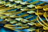 Fiber optic cables feed into a switch inside a communications room at an office in London, U.K., on Monday, May 21, 2018. The Department of Culture, Media and Sport will work with the Home Office to publish a white paper later this year setting out legislation, according to a statement, which will also seek to force tech giants to reveal how they target abusive and illegal online material posted by users.