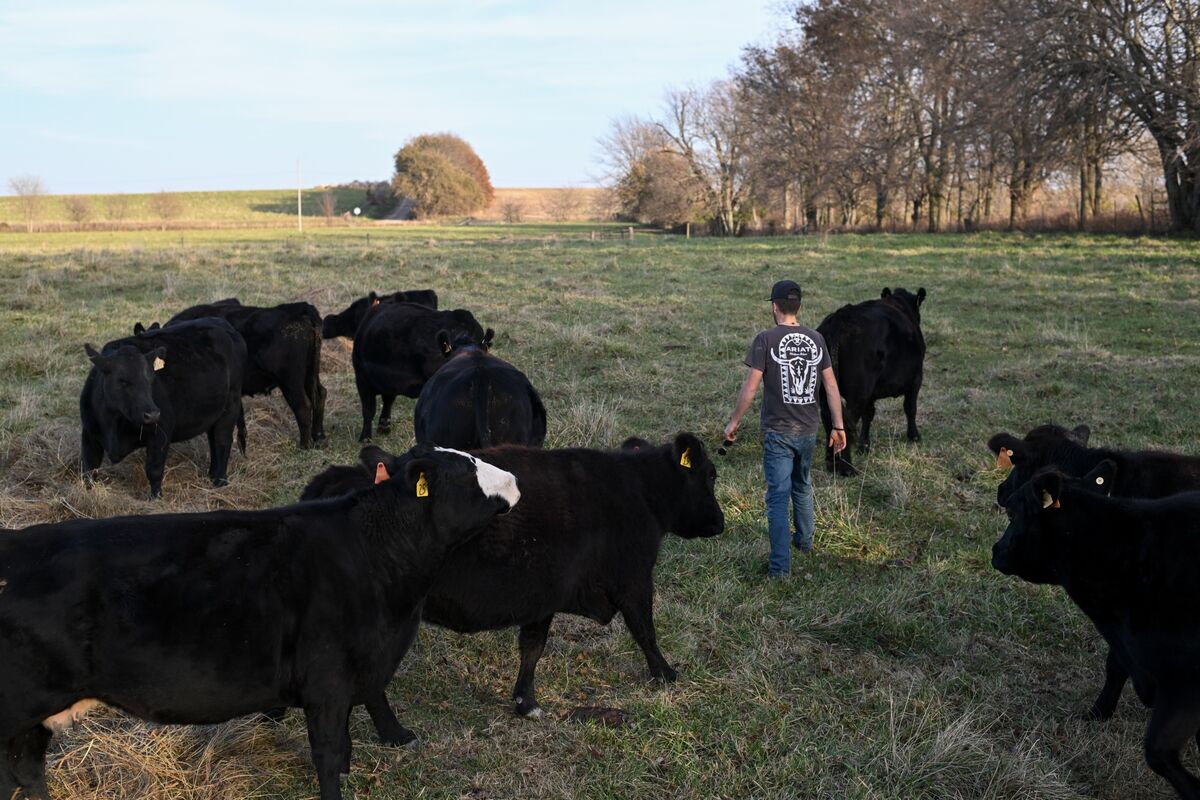bloomberg.com - Courtney Subramanian - Trump Announces Plan to Let Farmers Process Their Own Food