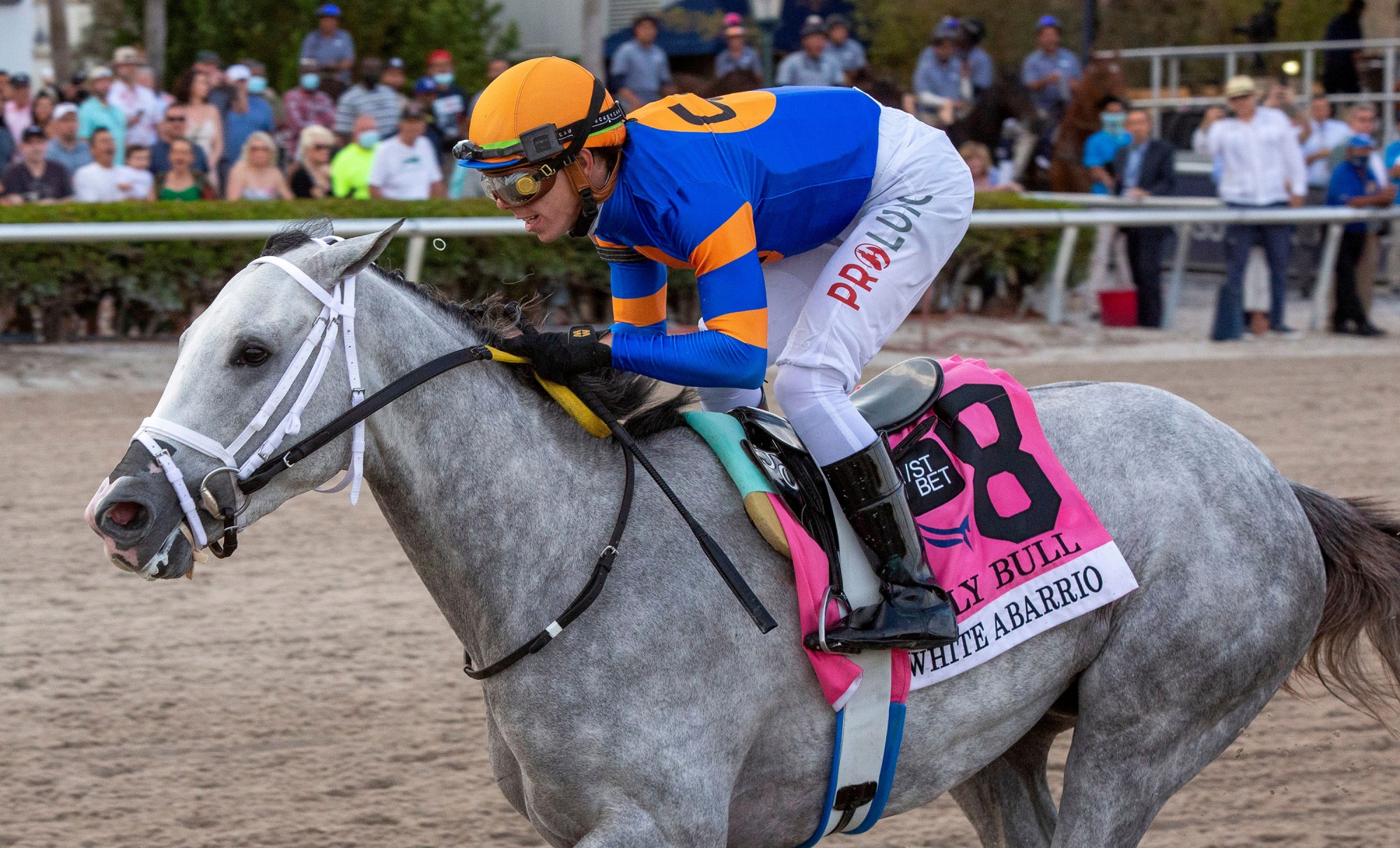 Kentucky Derby Horses Odds and Predictions for White Abarrio, Epicenter