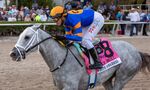 White Abarrio, with jockey Tyler Gaffalione up, wins the Holy Bull Stakes in Hallandale Beach, Florida.