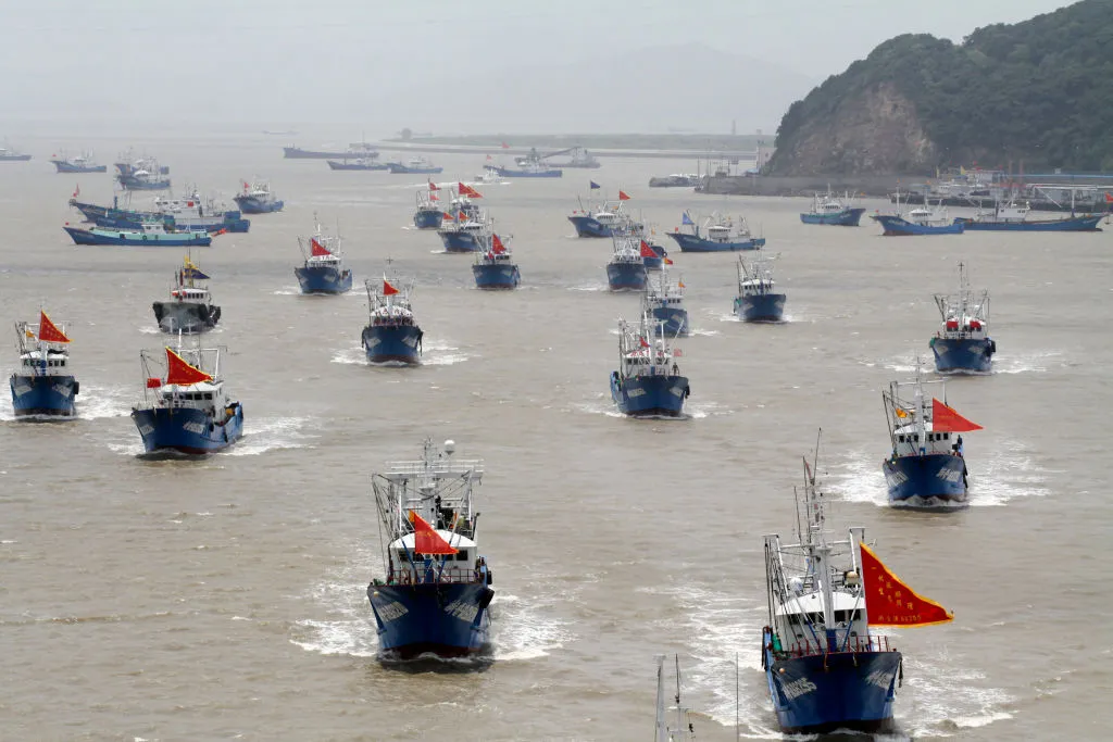 Fishing fleets have grown exponentially.

