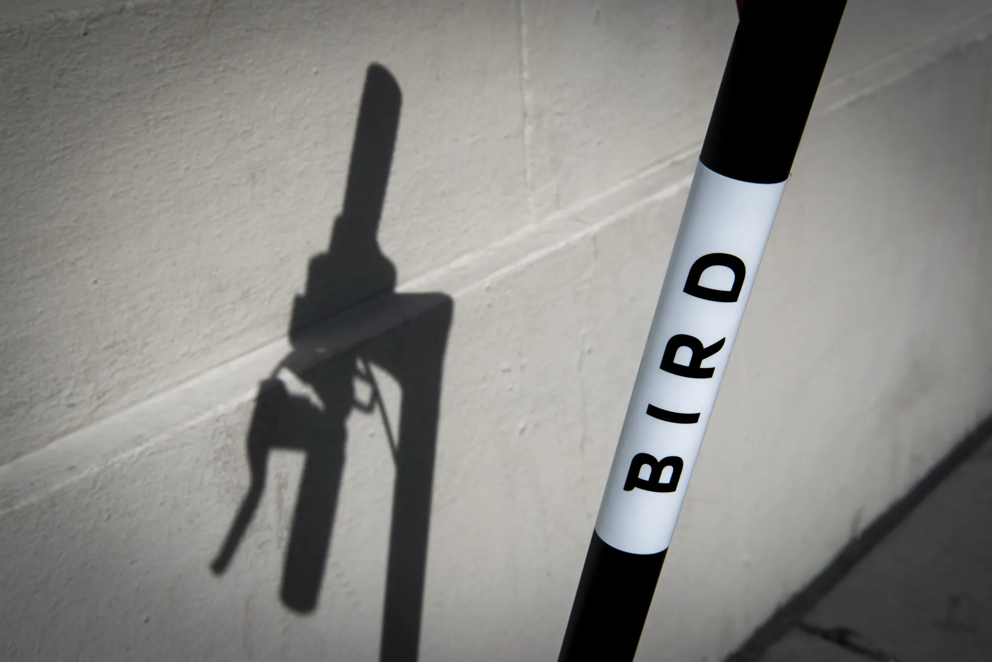 A Bird Rides Inc. shared electric scooter.