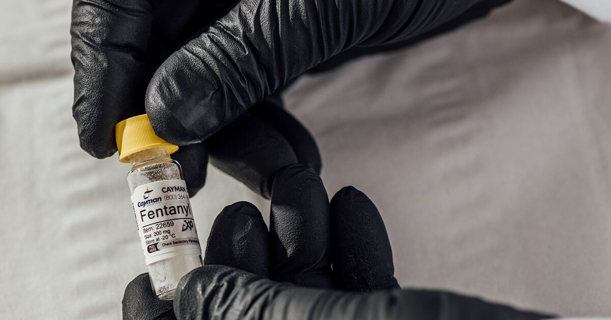 A Fentanyl Vaccine Is a Long Shot That Just Might Work