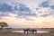 where-to-go-2018-namibia