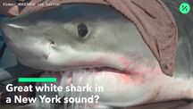 current playlist thumbnail