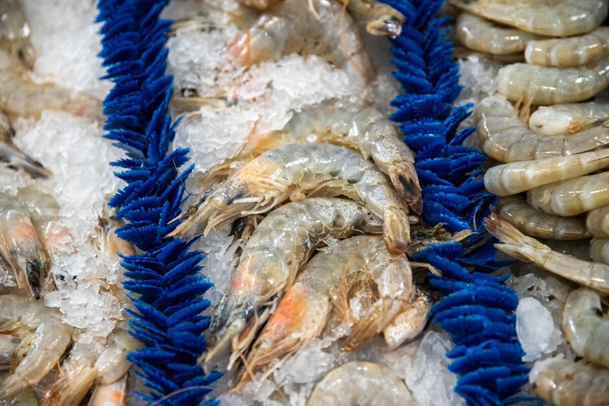 Indonesia Ends Radioactive Emergency After US Shrimp Scare