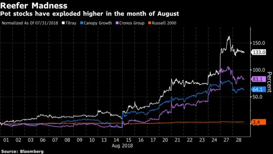 FAANG Love, Reefer Madness and Parabolic Megacaps: Taking Stock