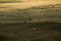 Aerial Views of the Brazilian Amazon