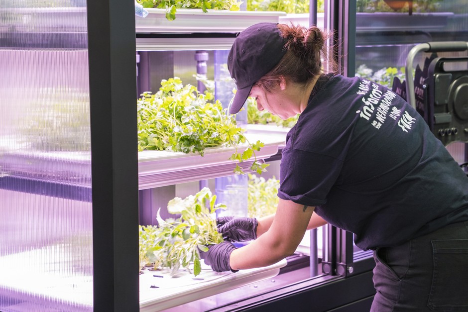 A worker tends to the greens in the new vertical farm at a QFC store in Kirkland, Washington.