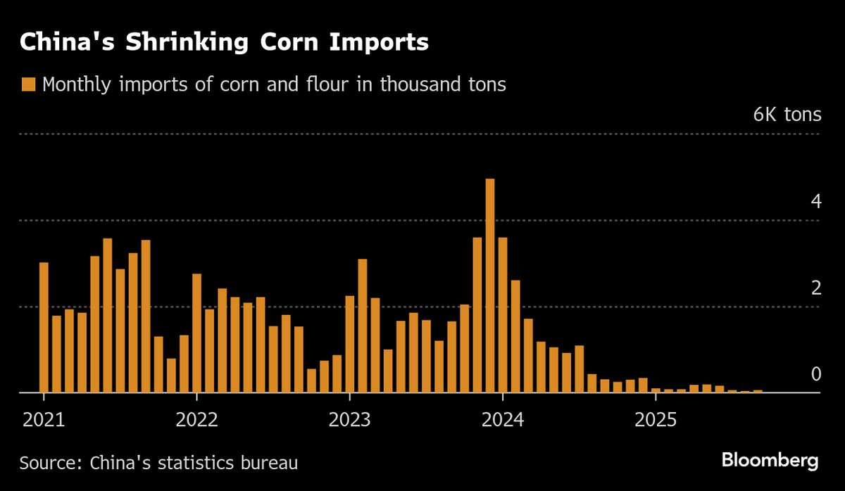 China Races to Secure Corn Harvest After Heavy Rains Rot Crops