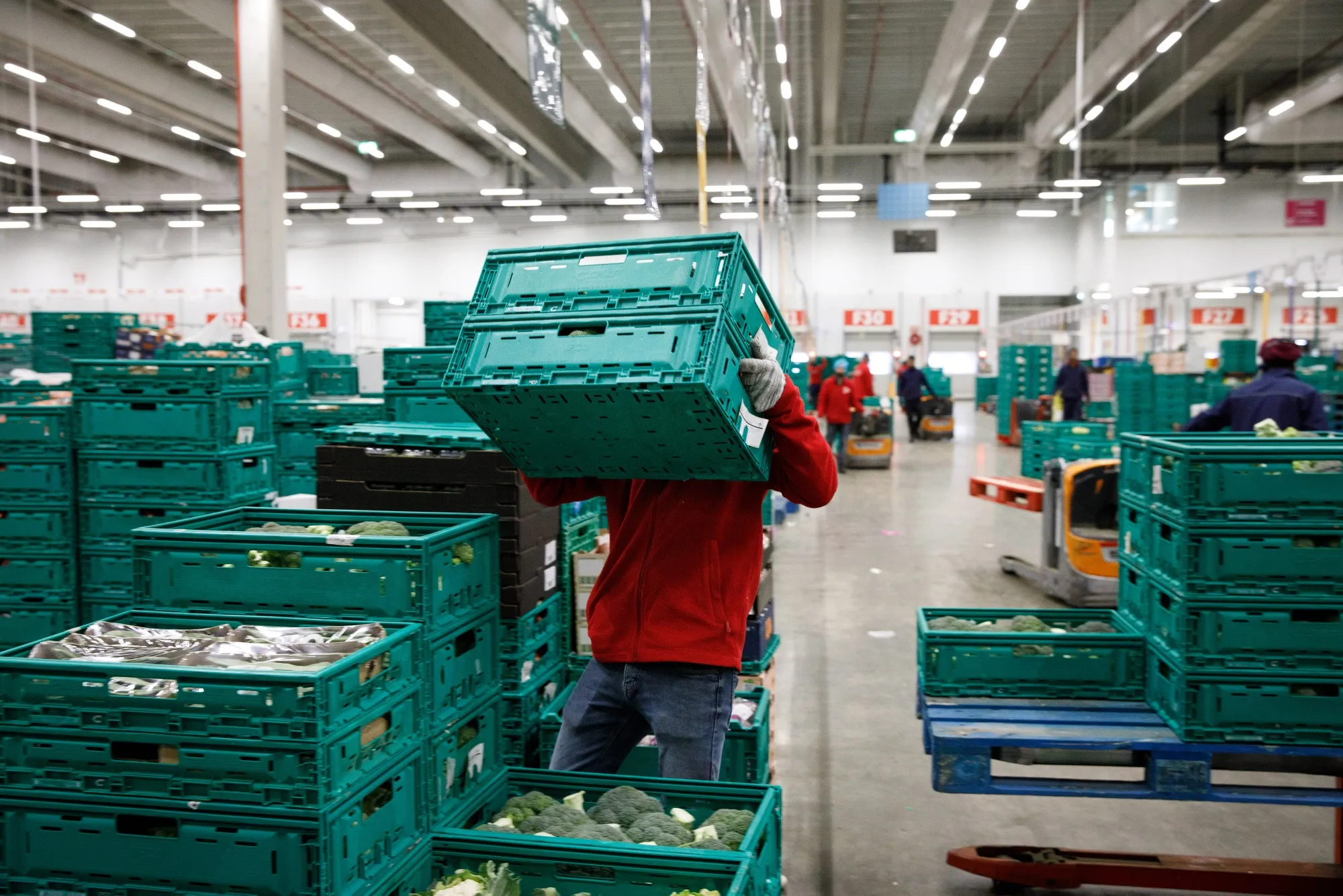 Sonae MC's Green Refrigerated Logistics Hub