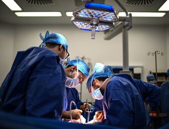relates to Pig Kidney Advancements Could Shorten the Organ Transplant Wait-List