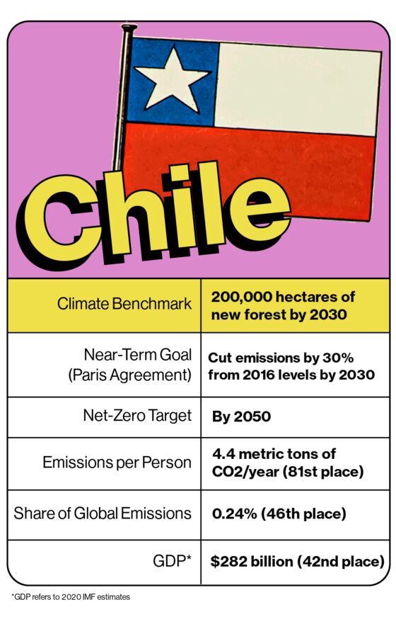 To Zero Out Emissions, Chile Must Rethink Its Forestry Industry