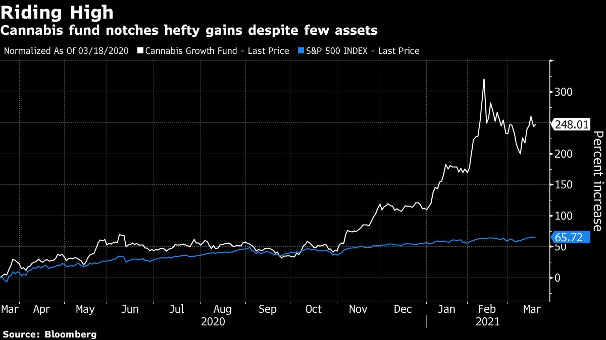 A Tiny Pot Fund With 250 Return Wants Some Of The Etf Billions Bloomberg