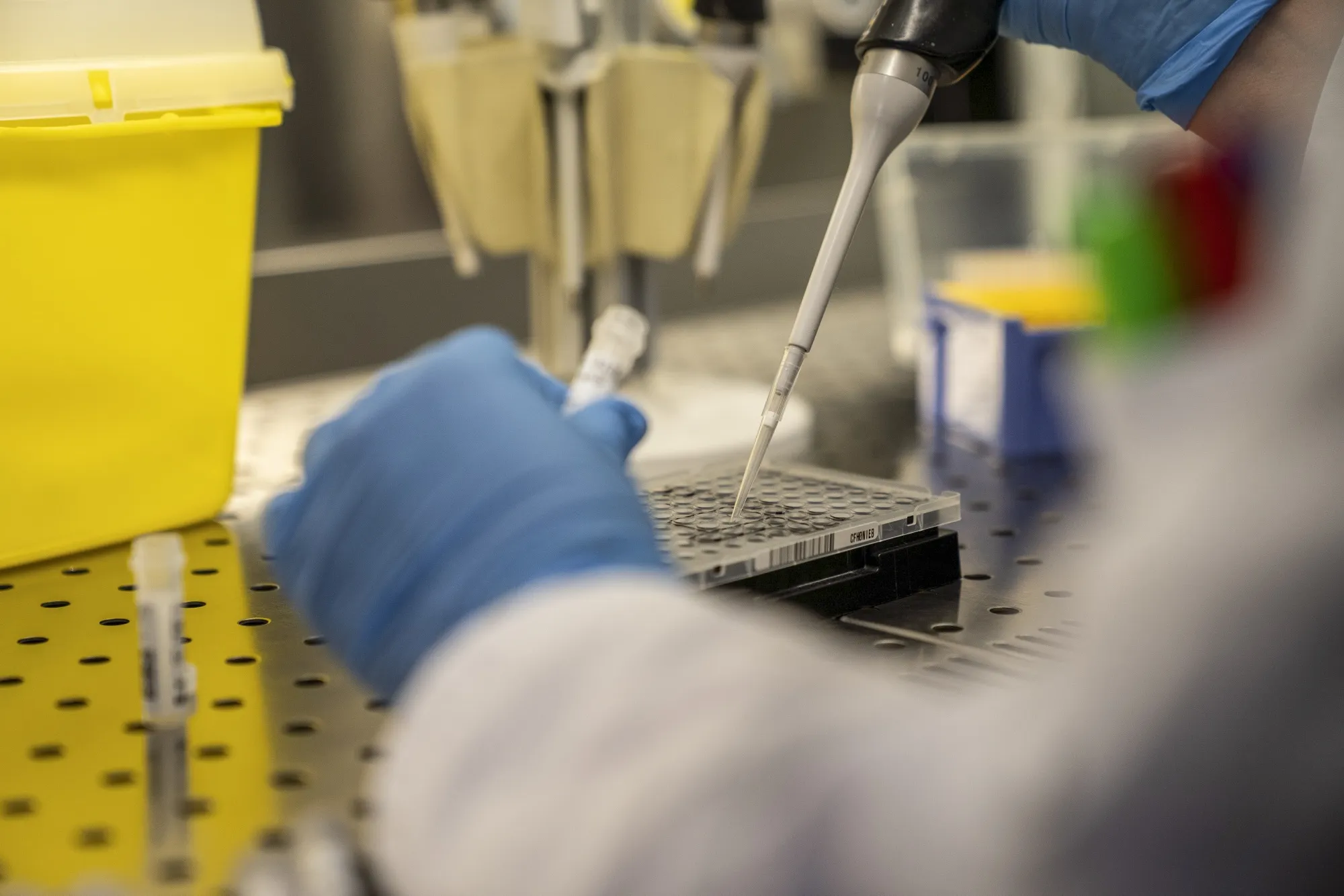 Coronavirus Analysis In Hospital Laboratory 