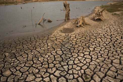 Mai Jok Luang Reservoir Declared Dry As Drought Continues