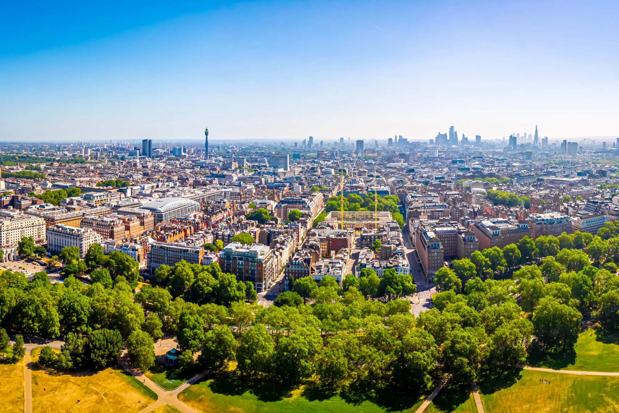 London springer