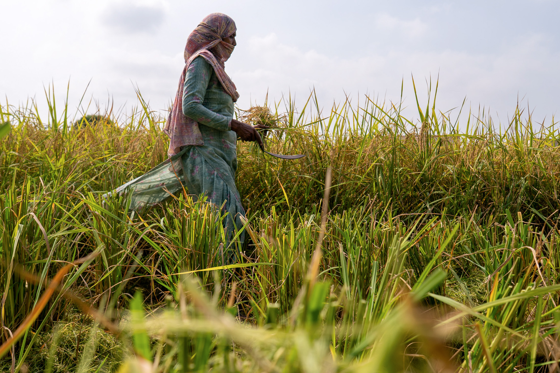 Image associated with story "From Farmers to Shopowners, India Counts the Cost of a Brutal Monsoon"