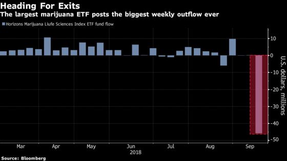 Party Interrupted for Pot Stocks on Bubble Fears