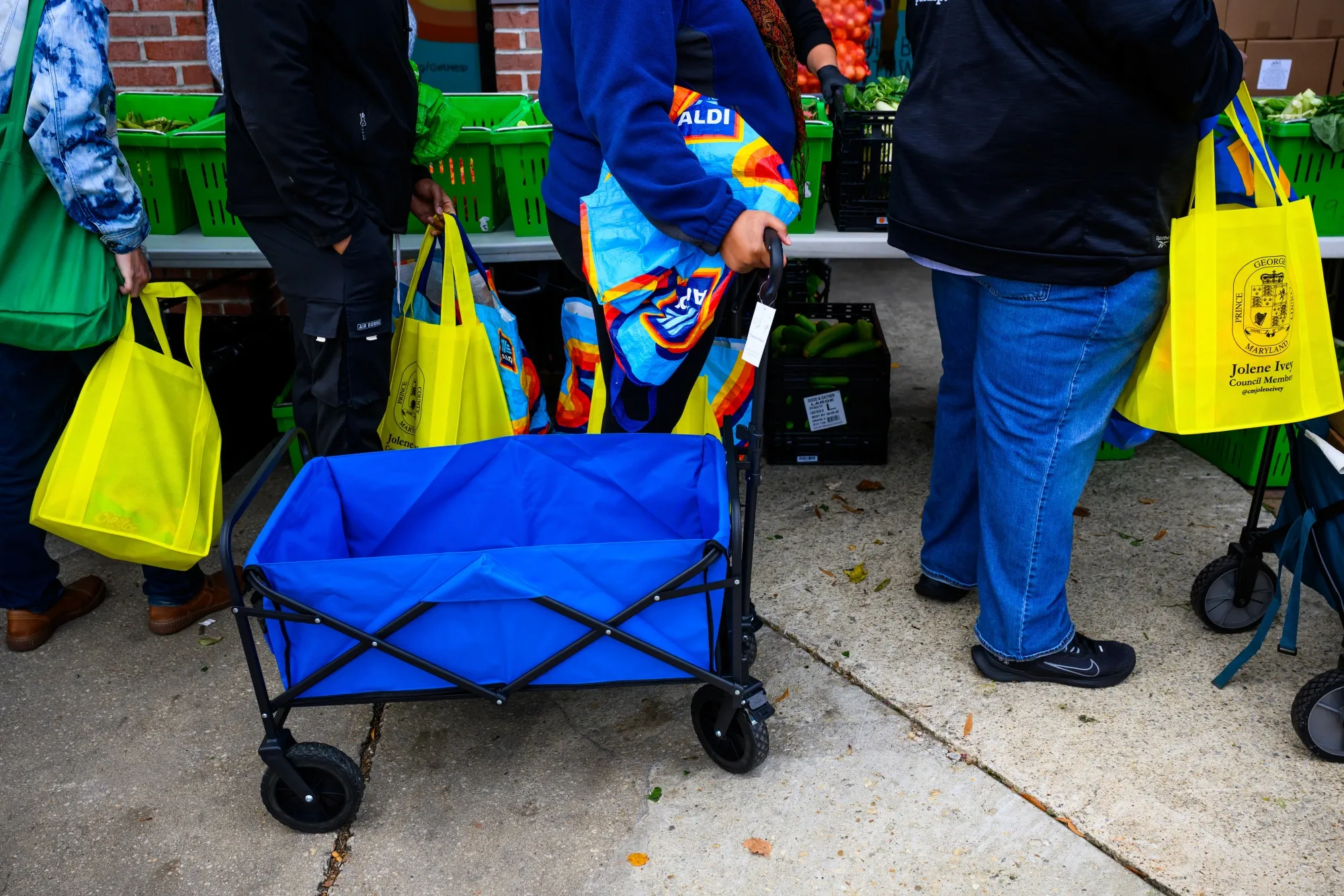 Furloughed federal workers carry bags and pull carts at a Capital Area Food Bank distribution site in Hyattsville, Maryland,&nbsp;on&nbsp;Nov. 4.