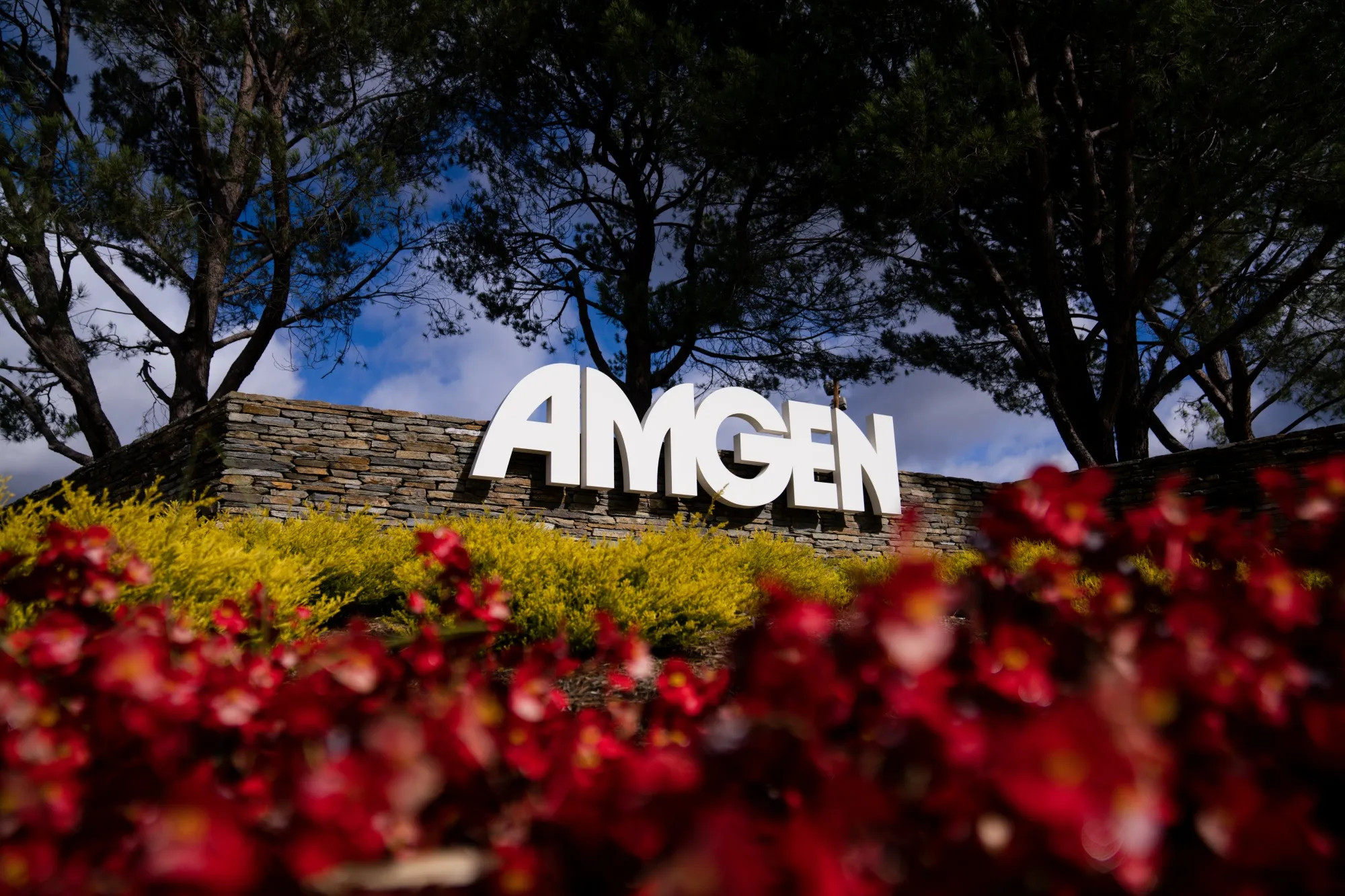 The FTC said it would pause its in-house proceedings to block&nbsp;Amgen’s $27.8 billion takeover of&nbsp;Horizon Therapeutics.
