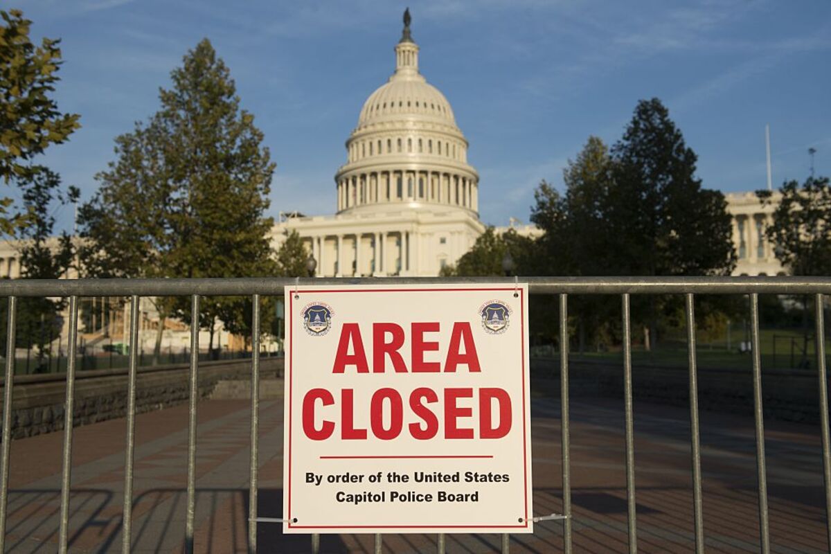 In Defense of the Washington Swamp Bloomberg