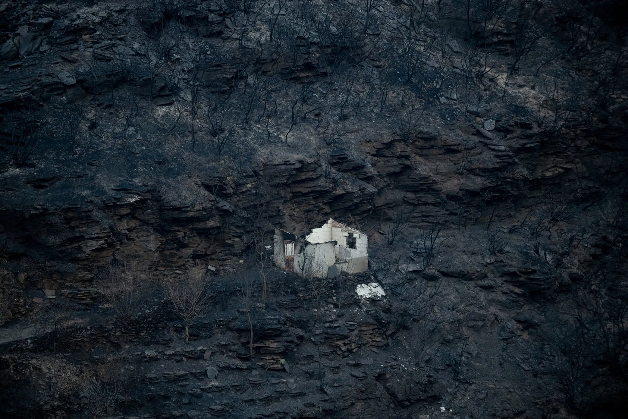 Scorched land following a wildfire in the village of San Vicente de Leira, in Galicia, Spain, on Aug. 21, 2025.