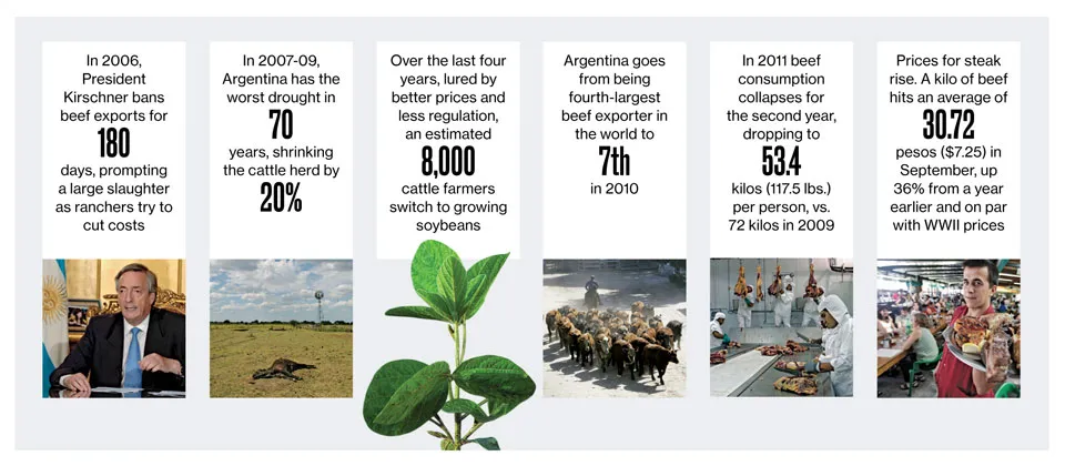 On the Argentine Pampas, the Cattle Run Expensive