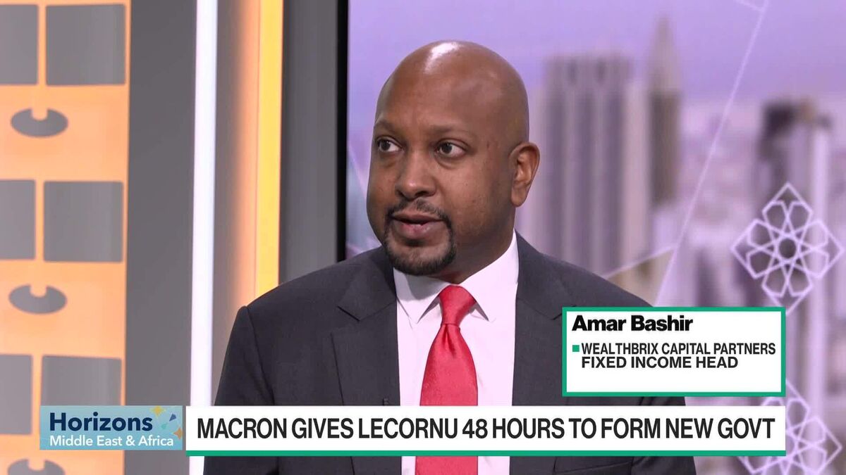 Bashir: Macron Will Try to Avoid Snap Elections