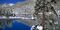 Most Expensive Electric Utility in California: Bear Valley Electric Services