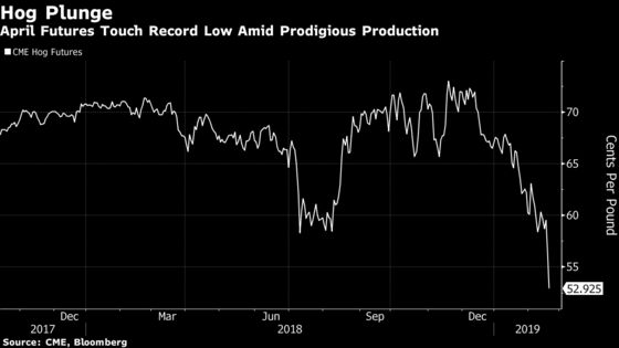 Hog Futures Crash on Huge Supplies as Cold Boosts Cattle