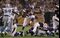 Adrian Peterson