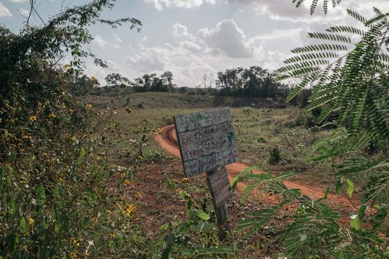 How Mexico’s Vast Tree-Planting Program Ended Up Encouraging Deforestation