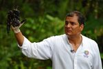 Ecuadorean President Rafael Correa shows an oil-covered hand at the Aguarico 4 oil well in Aguarico, Ecuador in Sept. 2013